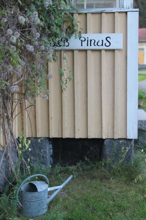 B&B Pinus Mäntyharju Esterno foto