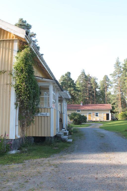 B&B Pinus Mäntyharju Esterno foto